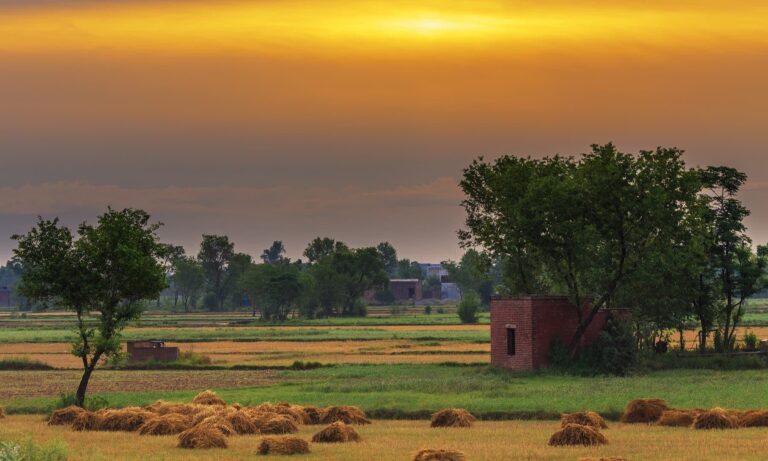 Punjab Villages 768x461 
