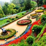 10 Beautiful Places to See in Ooty Tamil Nadu India