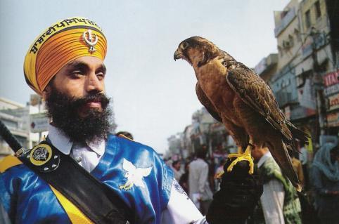 Why Guru Gobind Singh Ji Favorite Bird Was the Baaz